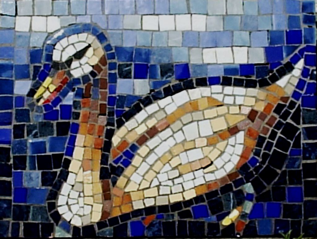 El Cisne (0.40 X 0.30 cmts)